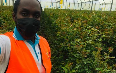 MY INTERNSHIP EXPERIENCE AT WILDFIRE FLOWERS